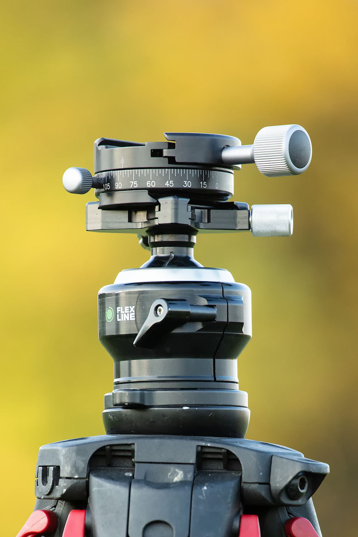 Flexshooter Pro tripod head review