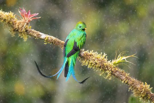 Costa Rica