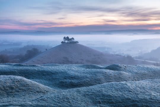 Dorset