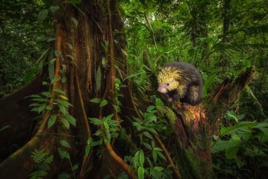 Costa Rica