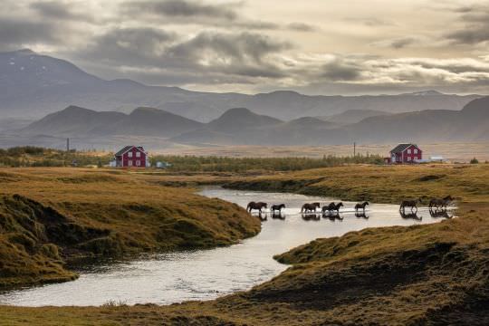 Landscapes of the World