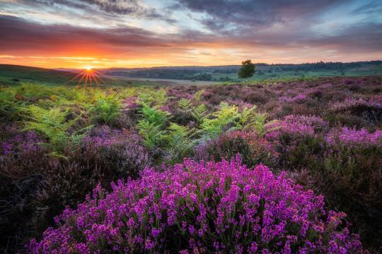Landscapes of the British Isles