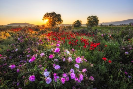 Landscapes of the World