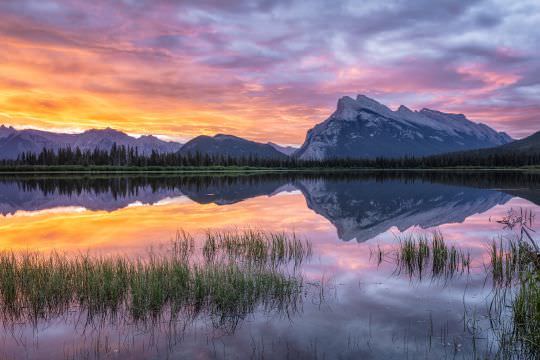 Landscapes of the World