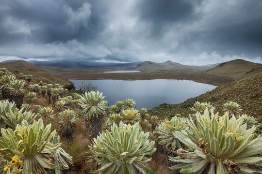 Landscapes of the World