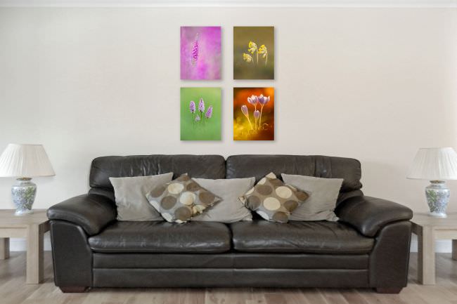 Prints Prints
