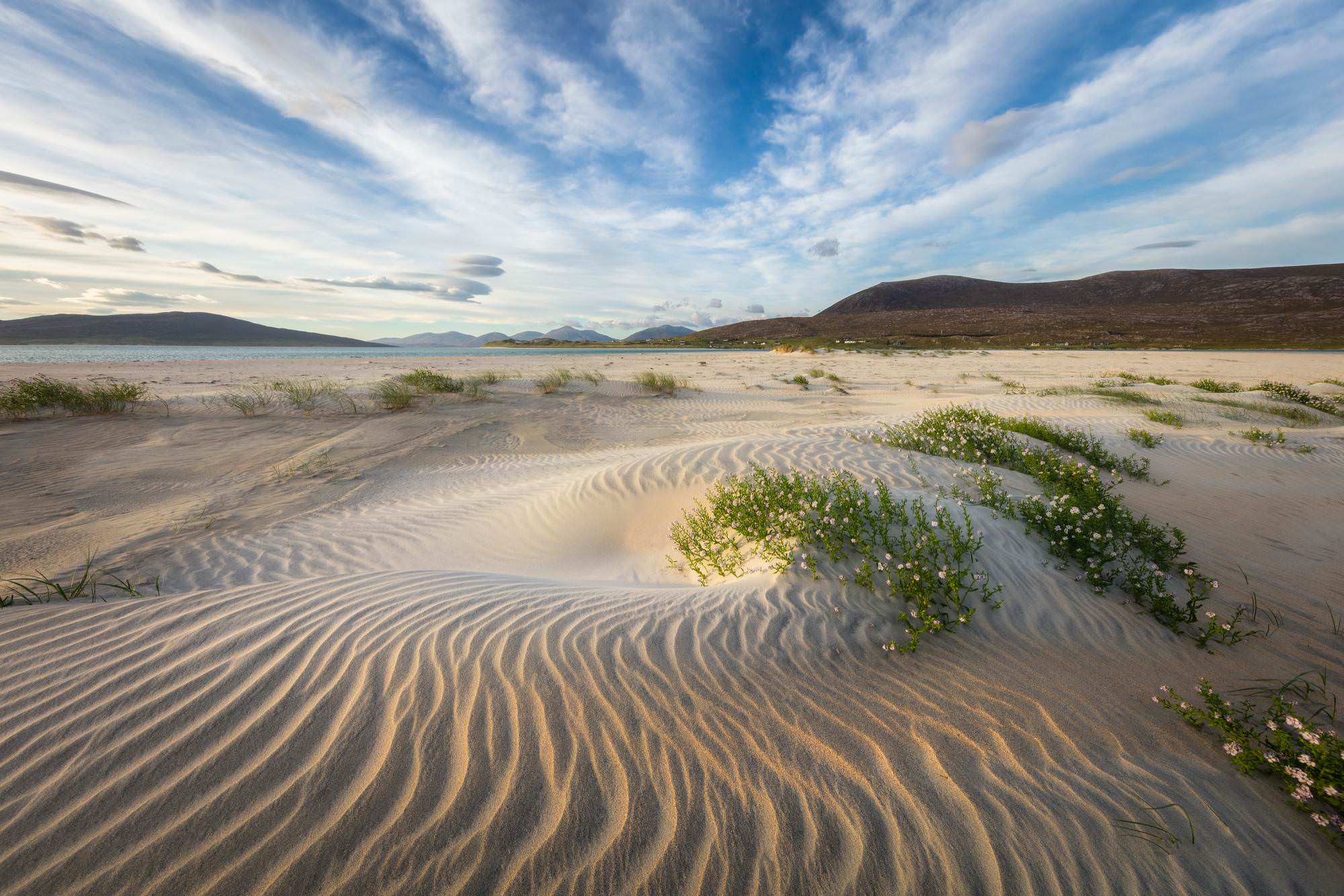 Guy Edwardes Photography Guy Edwardes Photography