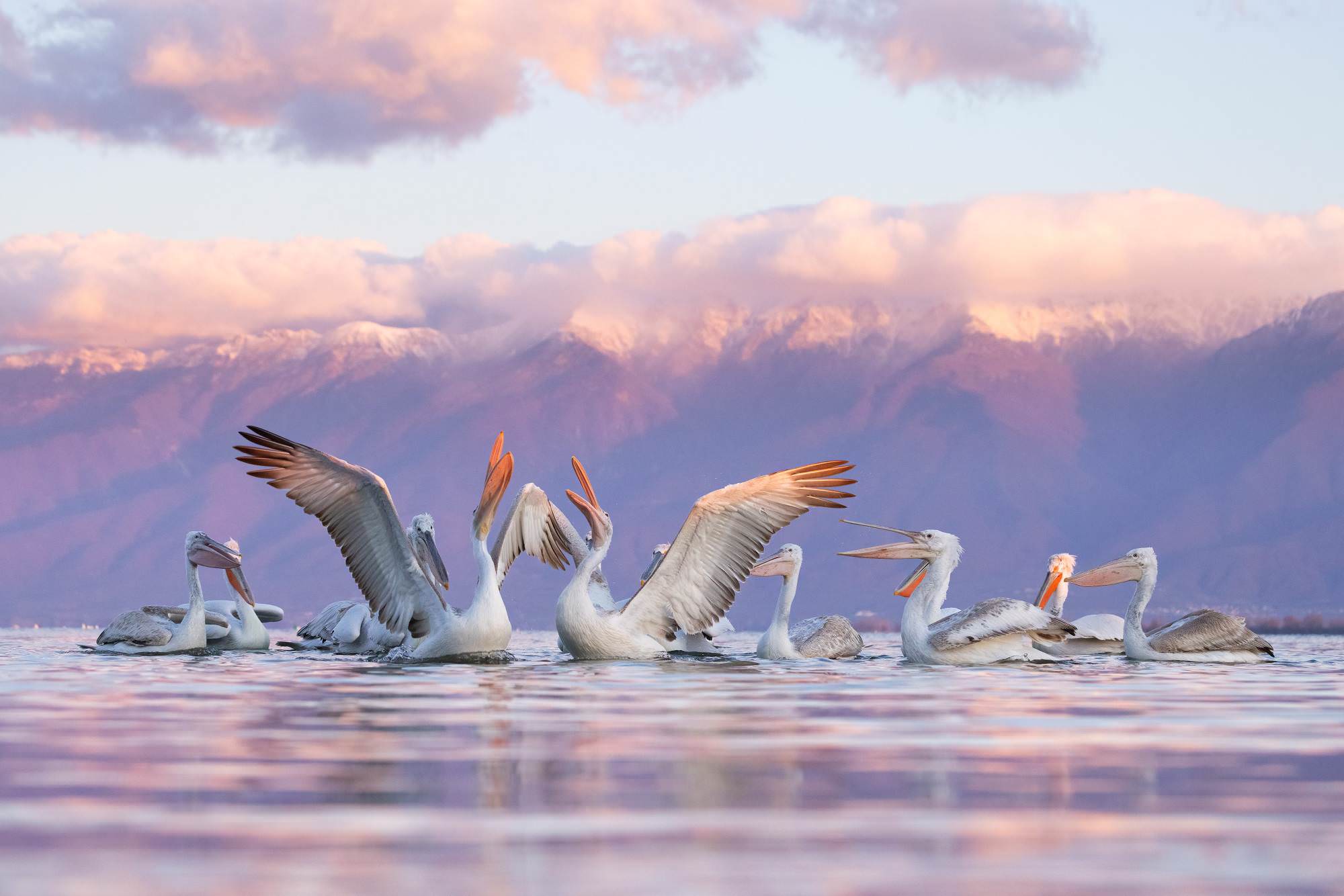 Guy Edwardes Photography Guy Edwardes Photography