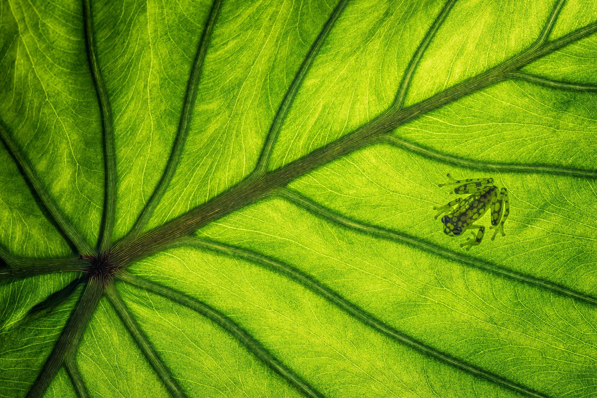 Guy Edwardes Photography Guy Edwardes Photography