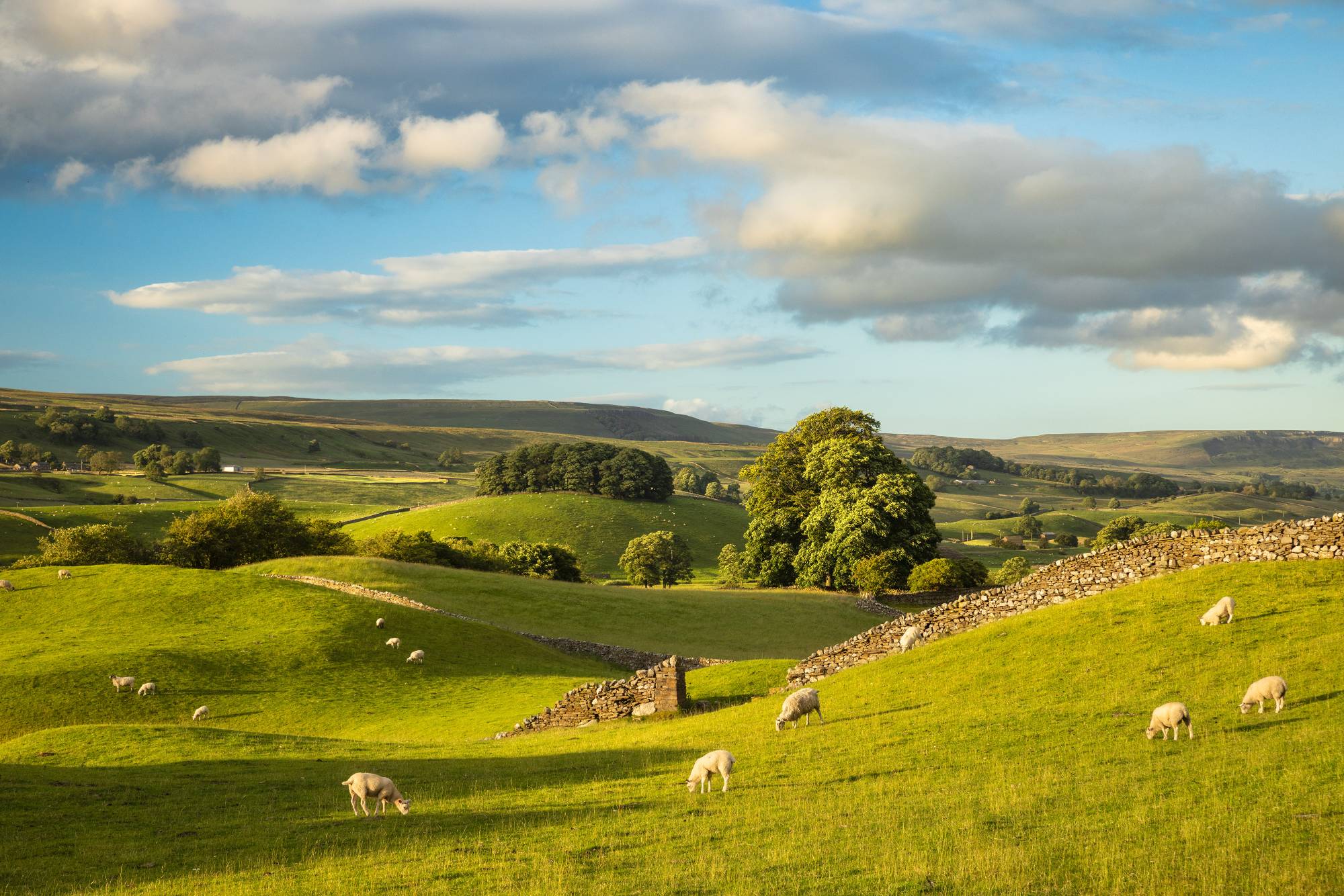Guy Edwardes Photography Guy Edwardes Photography