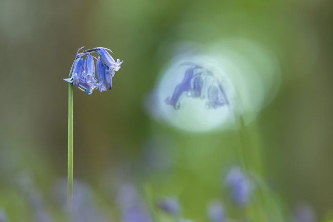 Westcountry Macro Workshop