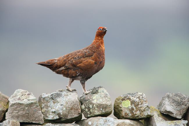 Yorkshire Dales Landscape Workshop