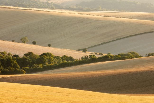 South Downs