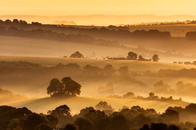 Spend the Night in Dorset