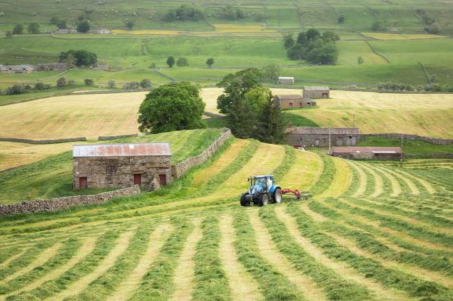 Yorkshire Dales Landscape Workshop