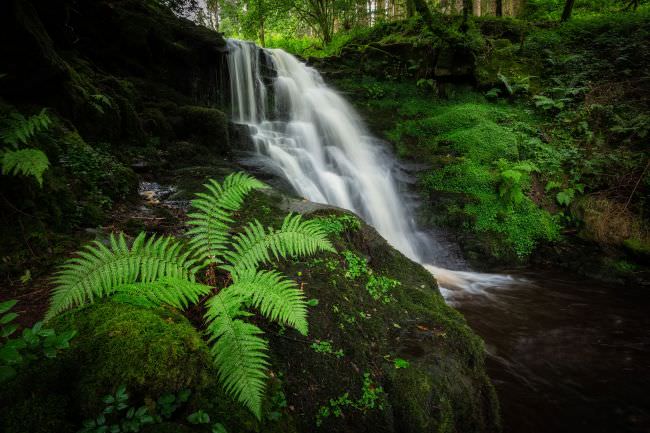 Brecon Beacons Landscape Workshop