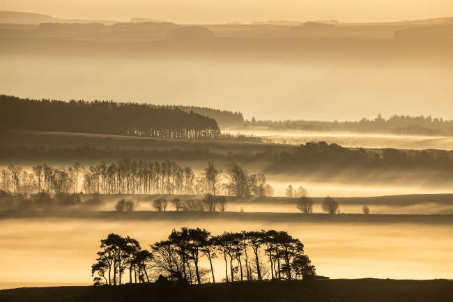 Northumberland Landscape Workshop