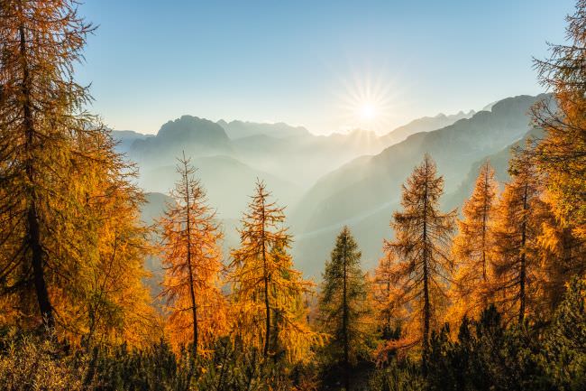 Slovenia in Autumn Landscape Workshop