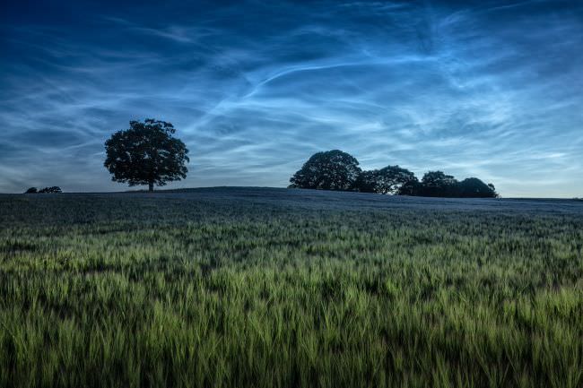 Spend the Night in Dorset