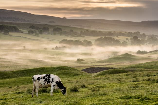 Yorkshire Dales Landscape Workshop