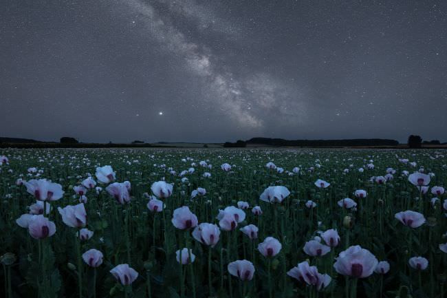 Spend the Night in Dorset