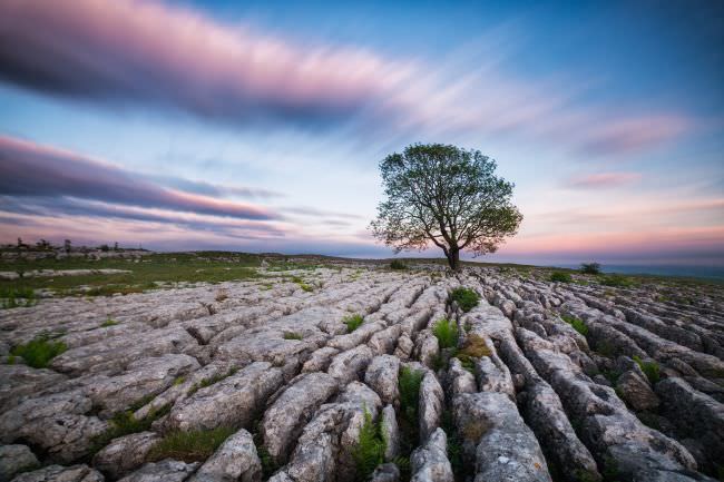 Yorkshire Dales Landscape Workshop