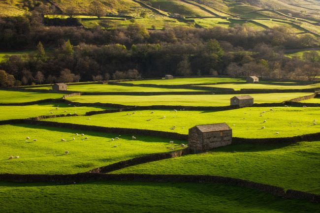 Yorkshire Dales Landscape Workshop