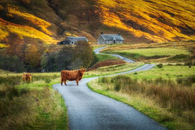 Scottish Highlands in Autumn