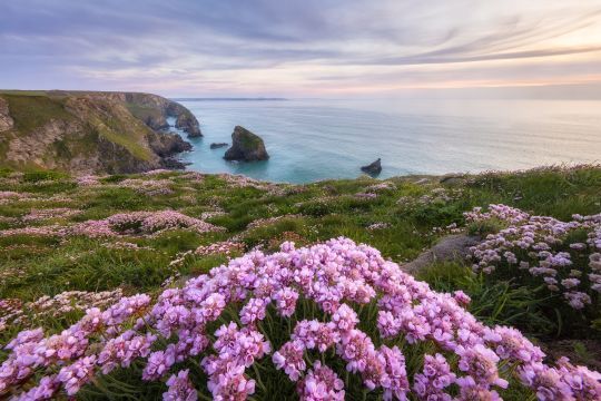 Cornwall Landscape Workshop