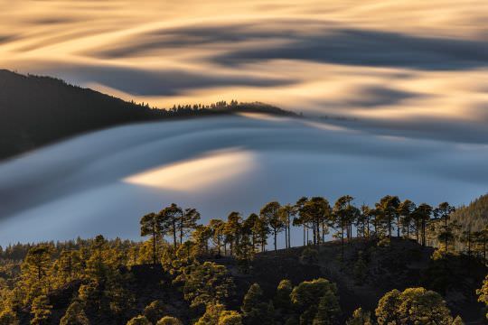 Canary Islands